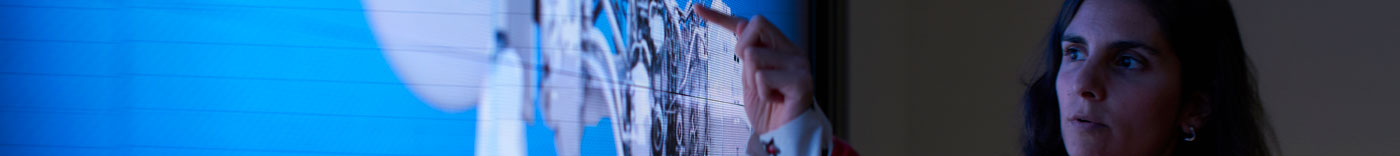 Bild zu VP Procurement Services